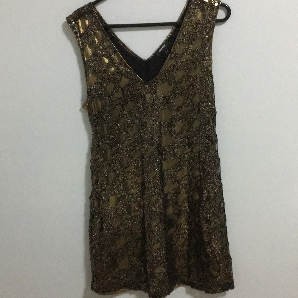 Express Night out Dress